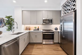 Gas range stoves